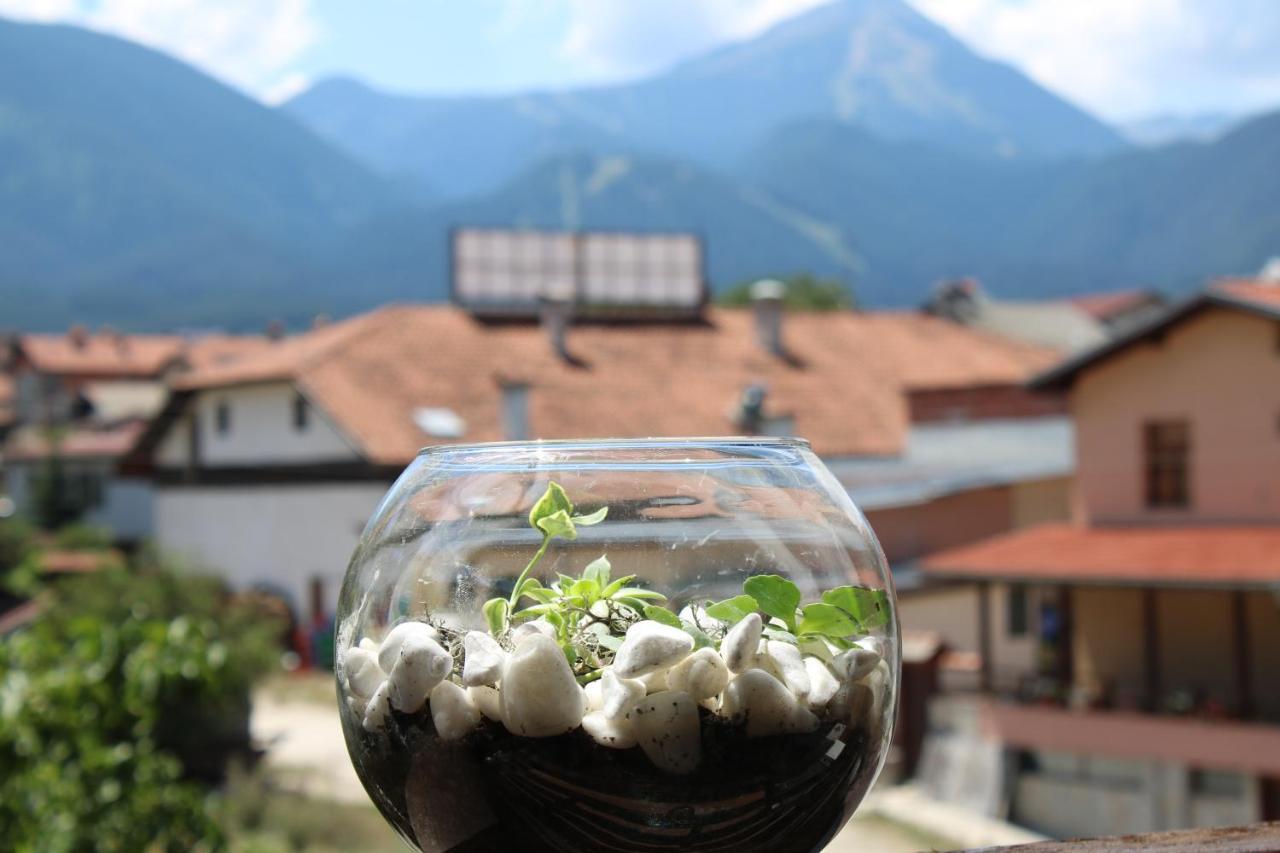 North Star Hotel Bansko Eksteriør billede