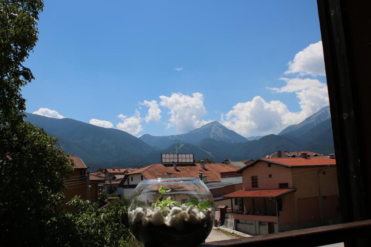 North Star Hotel Bansko Eksteriør billede