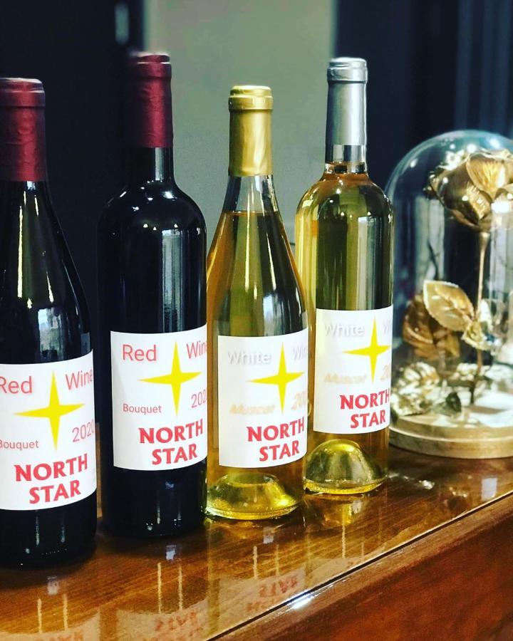 North Star Hotel Bansko Eksteriør billede